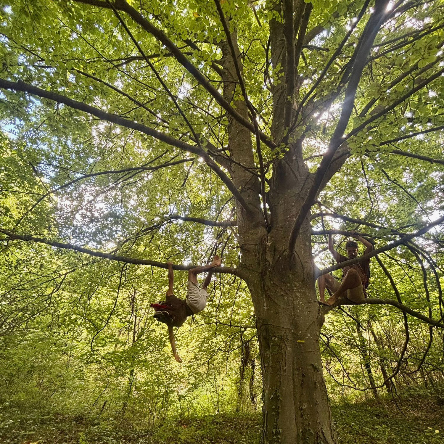 202d64de-a19c-4920-b746-3e284deb8e5d