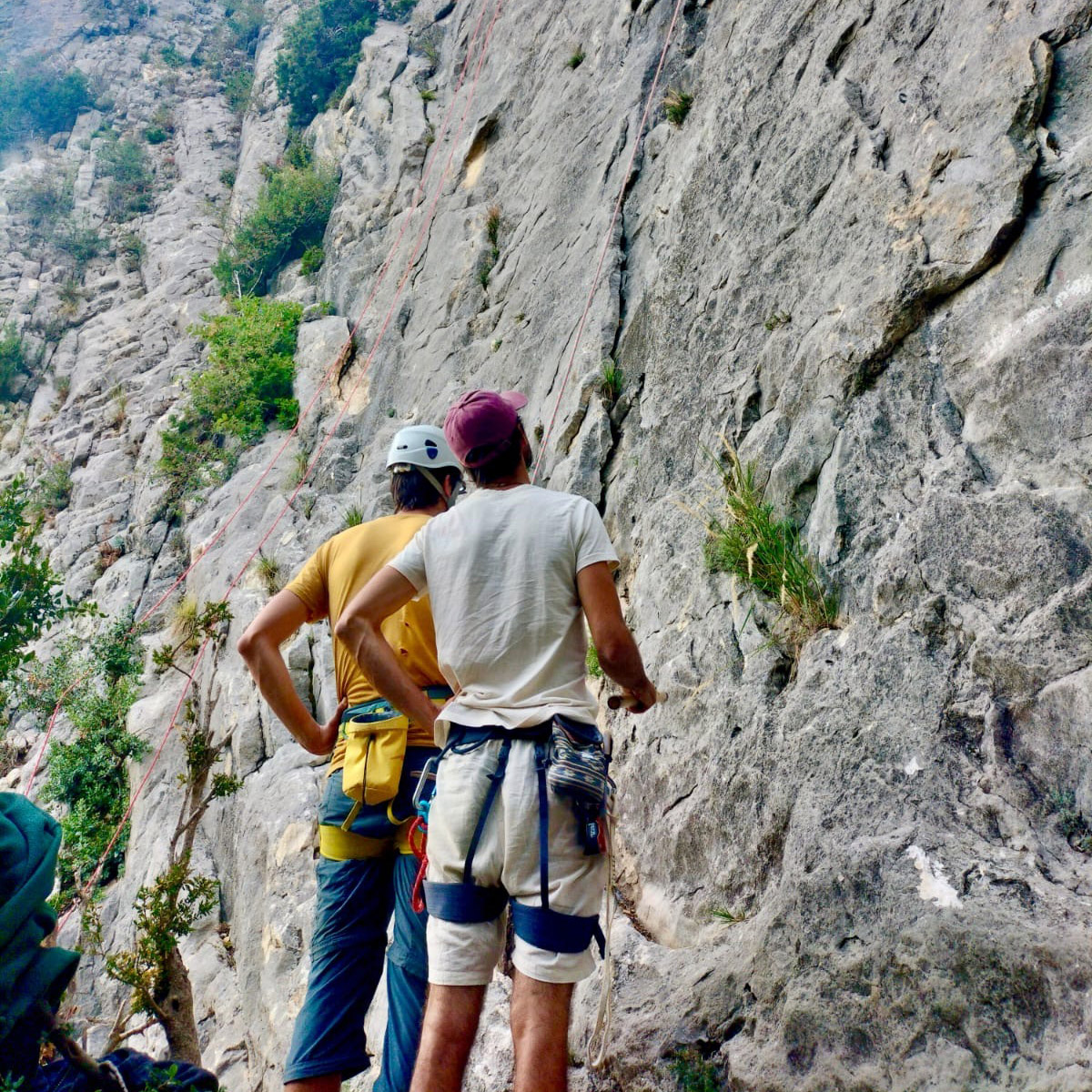 38c0d049-aa6f-4c86-95df-9ae2f4b74b33