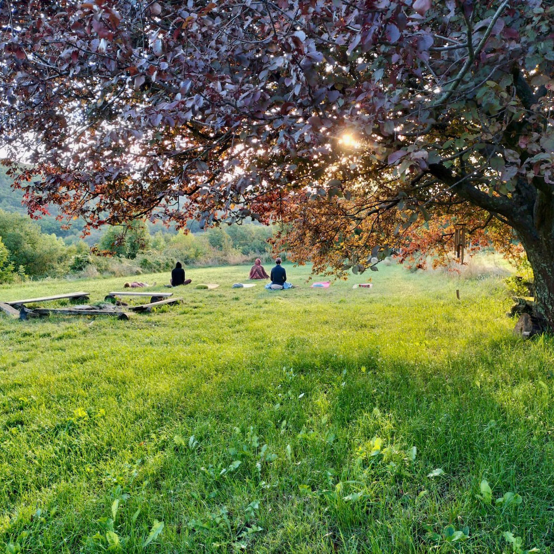 8e124f48-00bf-46f6-9009-350413900f85-copy